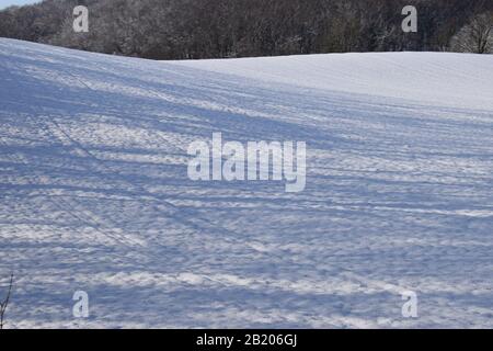 Neige à Maria Laach, Eifel Banque D'Images