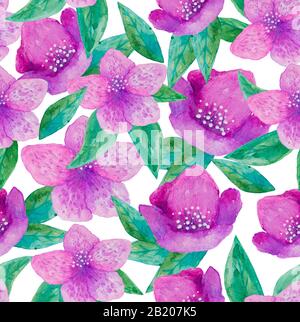 motif fleuri peint à la main en aquarelle sans couture avec fleurs violettes en hellebore sur fond blanc. pour le papier peint ou le textile Banque D'Images