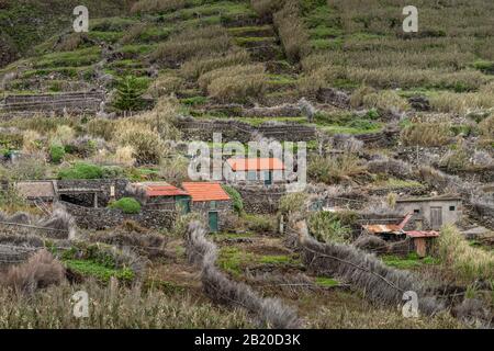 Faja Quebrada Nova, Achadas da Cruz, Madeira, Portugal Banque D'Images