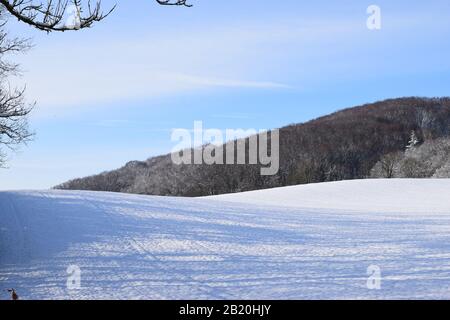 Neige à Maria Laach, Eifel Banque D'Images