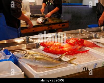 Poisson coloré à vendre sur un marché japonais Banque D'Images