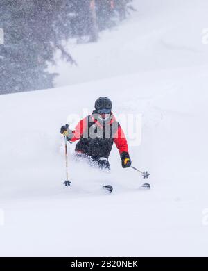 Skiez en poudre fraîche à la station de ski et de snowboard Monarch Mountain sur le Continental Divide dans le Colorado, aux États-Unis Banque D'Images