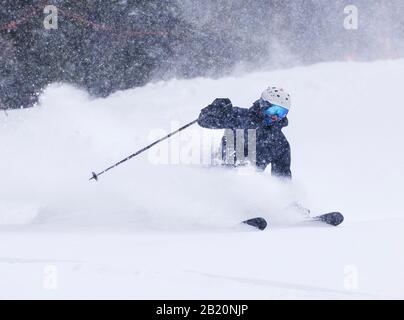 Skiez en poudre fraîche à la station de ski et de snowboard Monarch Mountain sur le Continental Divide dans le Colorado, aux États-Unis Banque D'Images