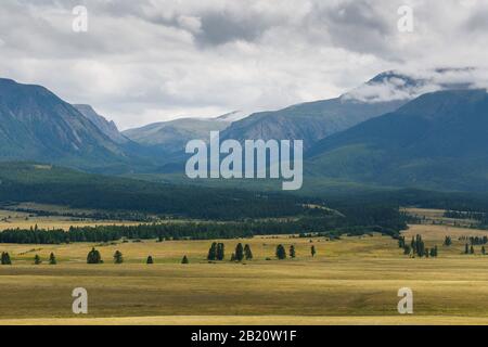 Vue panoramique sur la chaîne nord-Chuya enneigée dans les montagnes de l'Altaï en été, Sibérie, Russie. Banque D'Images