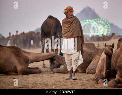 Tribu nomade avec turbans traditionnels, chameau et bétail, Puskar Mela, Pushkar, Rajasthan, Inde Banque D'Images