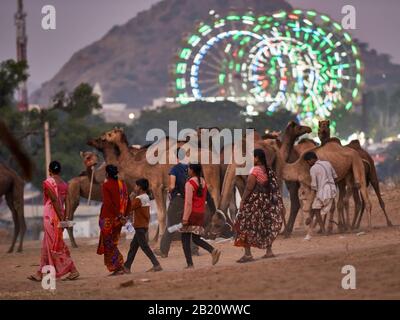 Chameaux devant les ferris éclairés du parc des expositions à la foire de chameau et de bétail Pushkar Mela, Pushkar, Rajasthan, Inde Banque D'Images