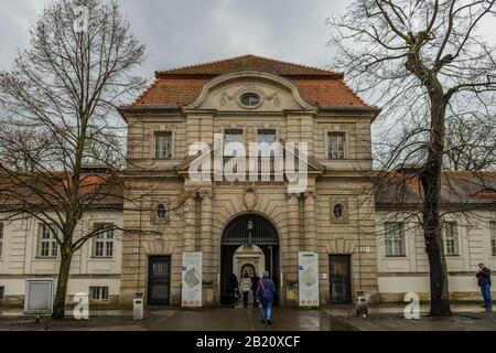 La charité" Augustenburger Campus Virchow, Platz, Mariage, Mitte, Berlin, Deutschland Banque D'Images