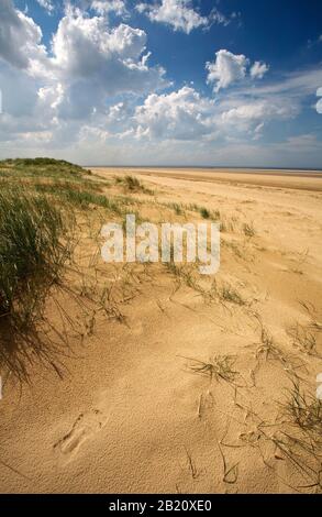 Une plage de sable déserte sur la côte nord de norfolk, près de la baie de holkham Banque D'Images