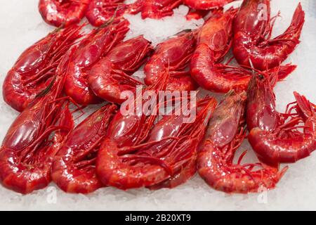 Photo de stock d'un gros tas de crevettes rouges sur une base de glace dans un marché de décrochage Banque D'Images