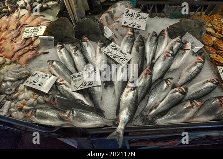 Bar de mer frais (Atractoscion nobilis) sur glace, marché aux poissons, Venise, Vénétie, Italie Banque D'Images