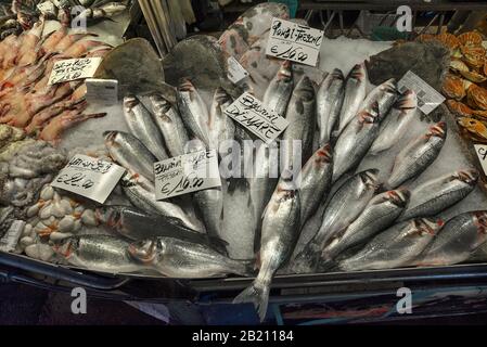 Bar de mer frais (Atractoscion nobilis) sur glace, marché aux poissons, Venise, Vénétie, Italie Banque D'Images