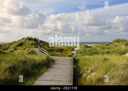 Promenade en bois dans la dune près de Norddorf, Amrum, Île frisonne du Nord, Frise du Nord, Schleswig-Holstein, Allemagne Banque D'Images