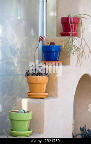 Une variété de plantes s'assoient dans des pots colorés sur un mur sud-ouest créatif Banque D'Images