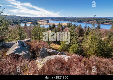 Forêt De Kielder / Réservoir De Kielder Dans Le Northumberland Banque D'Images