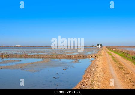 Route de terre entre les rizières après récolte. Isla Mayor, Espagne. Banque D'Images