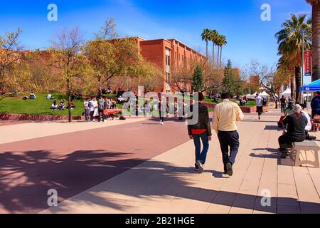 Étudiants dans le campus principal de l'Université de l'Arizona à Tucson Banque D'Images