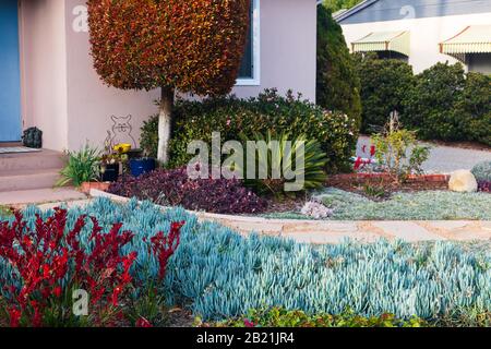 Bel exemple d'aménagement paysager californien avec un chemin de pierre et des plantes variées et tolérantes à la sécheresse. Extrait d'un espace public en février 2020. Banque D'Images