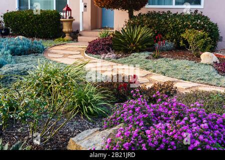 Bel exemple d'aménagement paysager californien avec un chemin de pierre et des plantes variées et tolérantes à la sécheresse. Extrait d'un espace public en février 2020. Banque D'Images