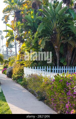 Exemple d'aménagement paysager de la Californie avec clôture en bois et plantation variée pour les conditions tolérantes à la sécheresse. Extrait d'un espace public en février 2020. Banque D'Images