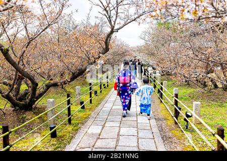 Kyoto, Japon - 10 avril 2019: Fleurs fleuries de cerisier tardives sakura au temple Ninna-ji avec beaucoup de touristes marchant sur le chemin Banque D'Images