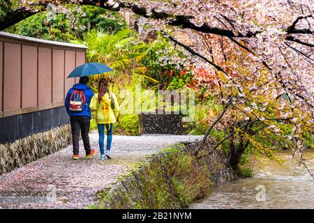 Kyoto, Japon - 10 avril 2019: Quartier de Gion avec sakura de cerisier au printemps avec fleurs fleuries dans le parc de jardin et la rivière Shirakawa avec couple Banque D'Images