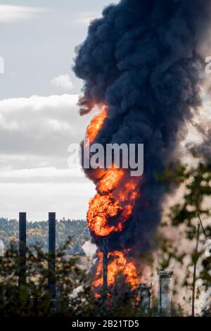 Gros incendie dans une raffinerie de pétrole. Seules les parties de la raffinerie visibles derrière les arbres. La fumée noire épaisse s'élève des flammes orange vives. Banque D'Images