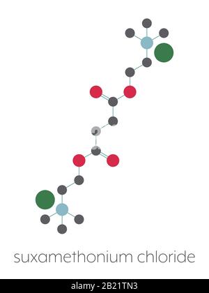 Médicament relaxant musculaire de chlorure de Suxaméthonium, illustration Banque D'Images