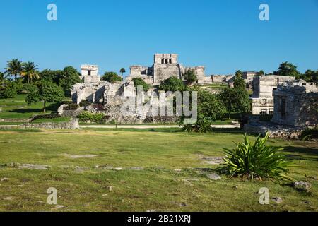 El Castillo à Maya ruines avec plantes tropicales et pelouse avec ciel bleu, Tulum, Mexique