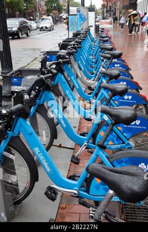 Location de vélos sur la place Harvard, Cambridge Banque D'Images