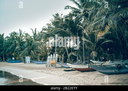 Planches de surf fixées verticalement avec leurs coudes reposant sur un stand en bois dans le sable à une station de surf au Sri Lanka Hikkaduwa, et traditionnelle BO de pêche Banque D'Images