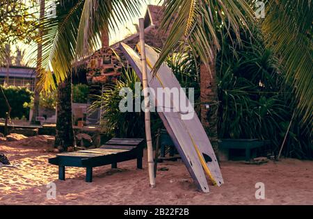 Planches de surf fixées verticalement avec leurs coudes reposant sur un stand en bois dans le sable à une station de surf au Sri Lanka Hikkaduwa Banque D'Images