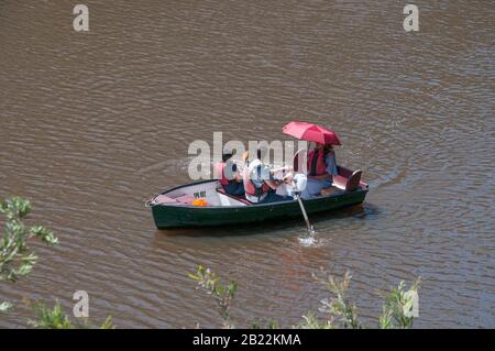 Canotage sur la Yarra River à Studley Park, Melbourne, Australie Banque D'Images