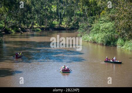 Canotage sur la Yarra River à Studley Park, Melbourne, Australie Banque D'Images