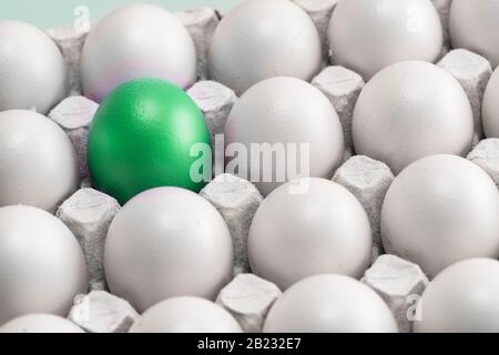 Un oeuf vert parmi de nombreux oeufs blancs dans la boîte, gros plan. Upstart et leader, symbole de l'individualité. Concept pour Pâques. Banque D'Images