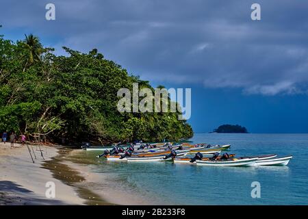L'île Doini est située au coeur de la baie de Milne, à l'extrémité orientale de la Papouasie-Nouvelle-Guinée. Cette plantation a été initialement sondée par un gouvernement sur Banque D'Images