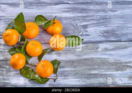 Tangerines Mûres, juteux tangerines avec feuilles sur fond gris en bois. Placez pour l'inscription sur un fond gris en bois Banque D'Images