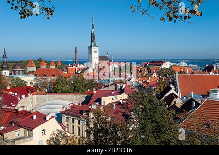 Blick auf die Altstadt von Tallin à Estland Banque D'Images
