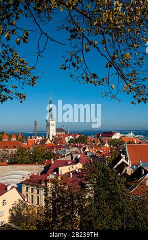 Blick auf die Altstadt von Tallin à Estland Banque D'Images