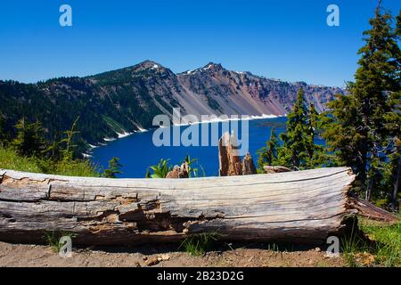 Oregon, États-Unis: Panorama du parc national du lac Crater (le lac Crater est le lac le plus profond aux États-Unis) avec tronc d'arbre allongé en premier plan Banque D'Images