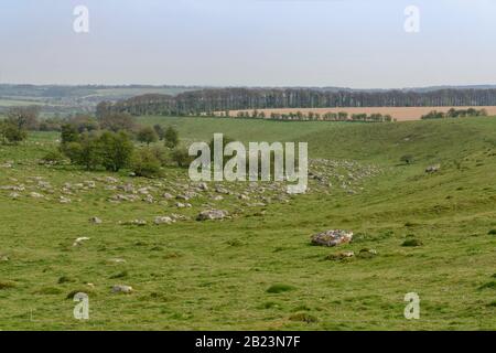 Fyfield En Bas De La Réserve naturelle nationale, avec de nombreuses pierres de sarsen de grès, les « éthers gris », iin une vallée peu profonde sous la Ridgeway, Wiltshire, Royaume-Uni. Banque D'Images