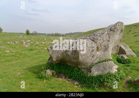 Grande pierre sarsen de grès, une des « éthers gris », exposée dans une vallée peu profonde à Fyfield, Dans La Réserve naturelle nationale, le Ridgeway, Wiltshire. Banque D'Images