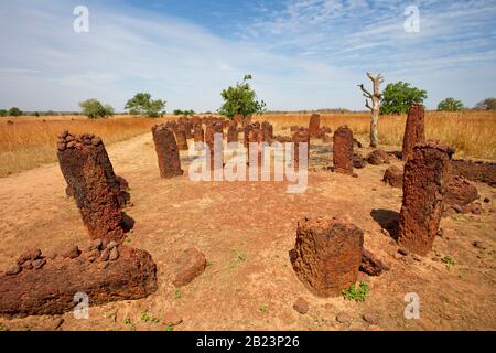 Plusieurs cercles faisant partie du complexe Wassu Stone Circle, sites de sépulture de l'âge du fer, Gambie. Banque D'Images