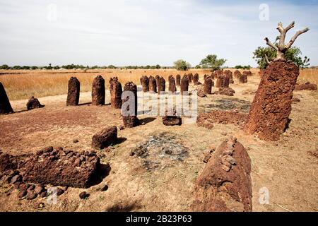 Plusieurs cercles anciens dans le cadre du complexe Wassu Stone Circle, sites funéraires de l'âge du fer, Gambie. Banque D'Images