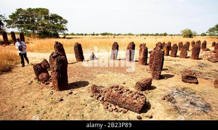 Plusieurs cercles faisant partie du complexe Wassu Stone Circle, sites de sépulture de l'âge du fer, Gambie. Banque D'Images