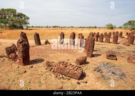 Plusieurs cercles faisant partie du complexe Wassu Stone Circle, sites de sépulture de l'âge du fer, Gambie. Banque D'Images