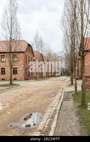 Vestiges de bâtiments à Auschwitz - Musée Birkenau et Mémorial Des Camps de la mort nazie de la seconde Guerre mondiale Banque D'Images