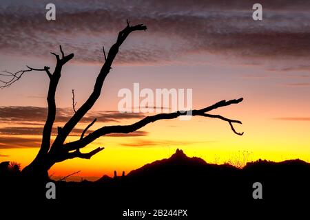 Pinnacle Peak au coucher du soleil. McDowell Sonoran Preserve, Scottsdale Az. Banque D'Images