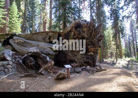 Yosemite automne 2019 Banque D'Images