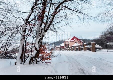 Vue de la forêt d'hiver au bord avec des maisons Banque D'Images