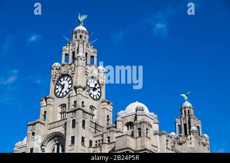 Regardez le Royal Liver Building à Liverpool sous un ciel bleu vif. Banque D'Images